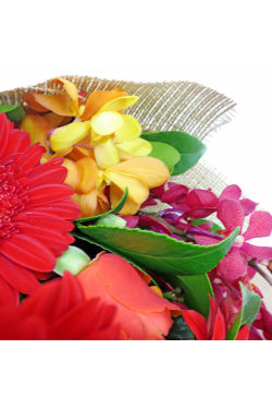 Little Joys - FWR - Arabian Petals (2096538157114)